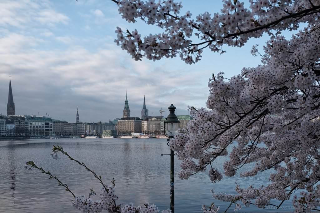 Binnenalster am Morgen