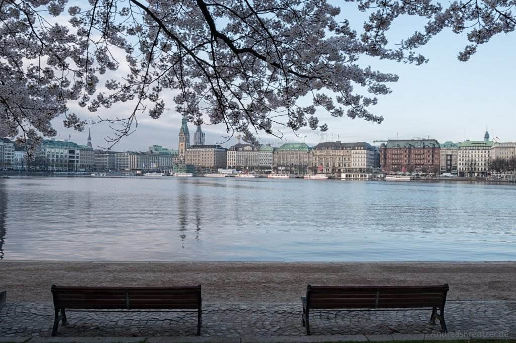Binnenalster am Morgen