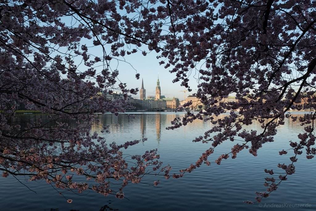 Binnenalster im Frühling