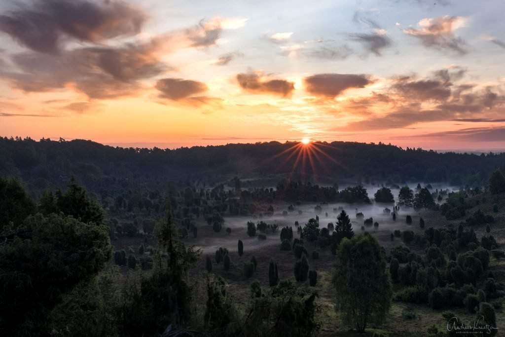 Totengrund in der Lüneburger Heide beim Sonnenaufgang