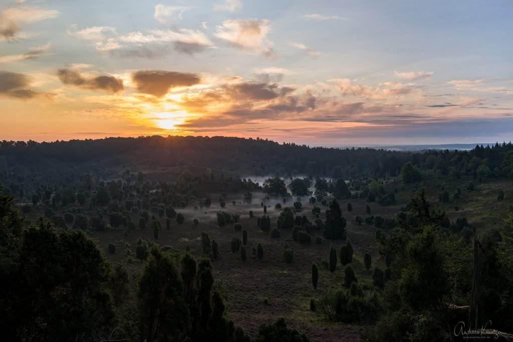 Totengrund in der Lüneburger Heide beim Sonnenaufgang