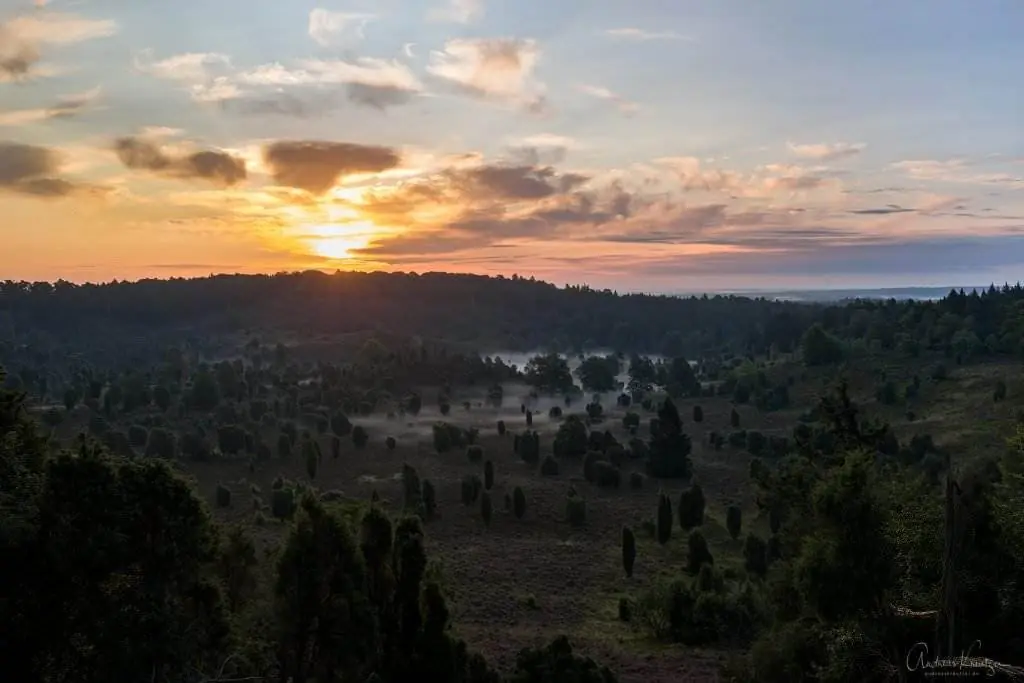 Totengrund in der Lüneburger Heide beim Sonnenaufgang