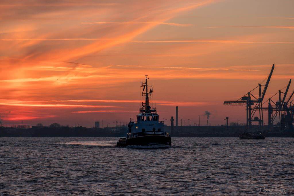 Schlepper im Hamburger Hafen