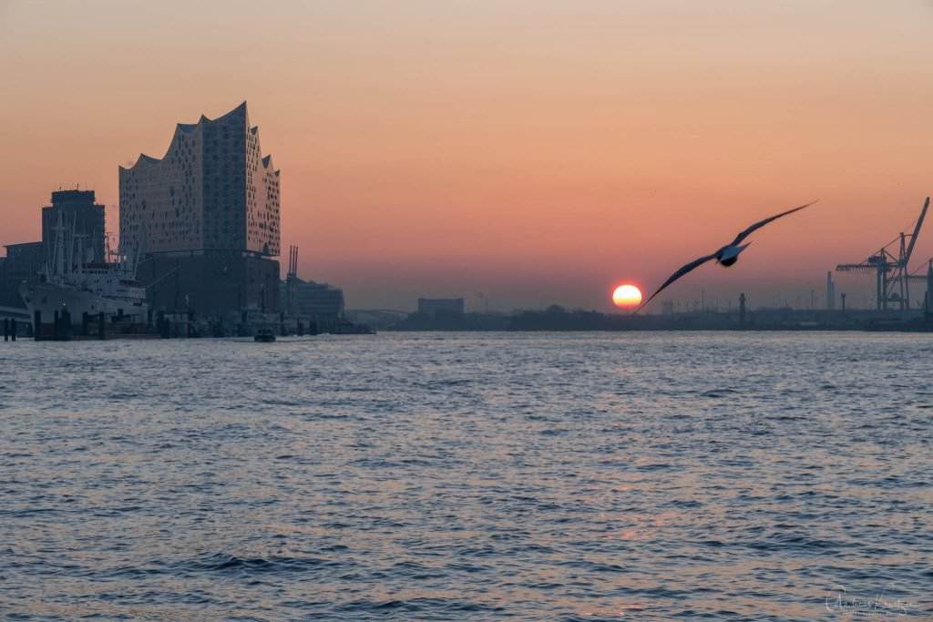 Sonnenaufgang am Hamburger Hafen