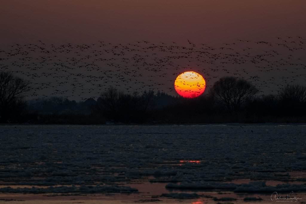 Hamburger Hafen mit Eis
