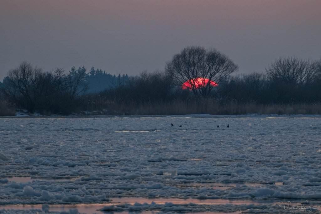 Sonnenuntergang an der Elbe