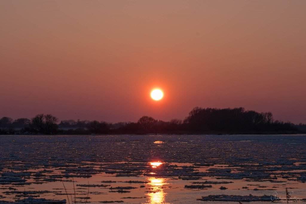 Sonnenuntergang an der Elbe