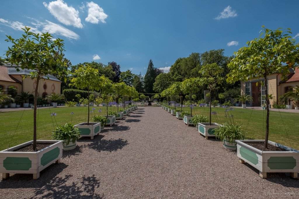 Schloss Belvedere Orangerie - Weimar