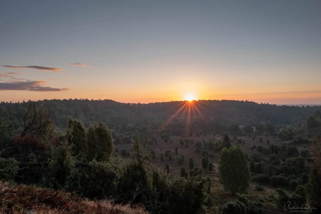 Sonnenaufgang am Totengrund in der Lüneburger Heide