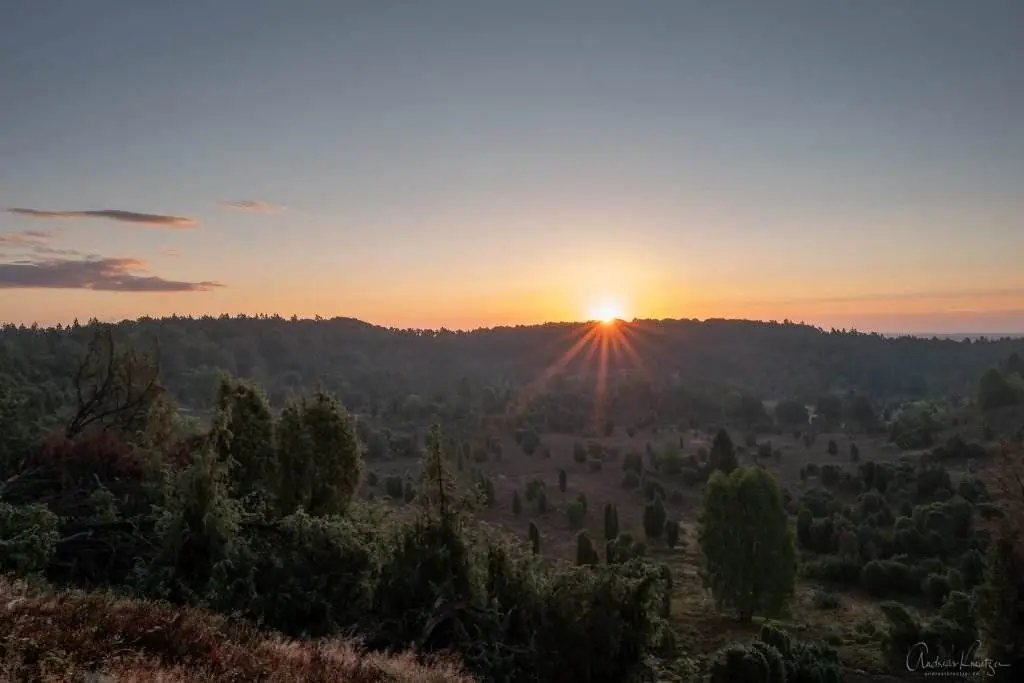 Sonnenaufgang am Totengrund in der Lüneburger Heide