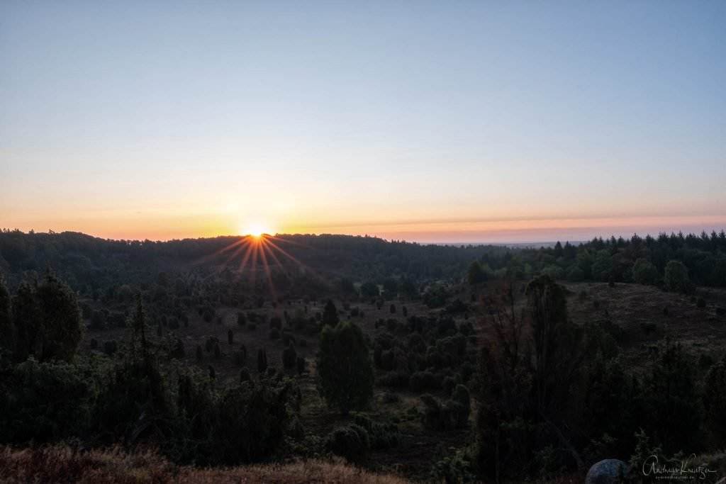 Sonnenaufgang am Totengrund in der Lüneburger Heide