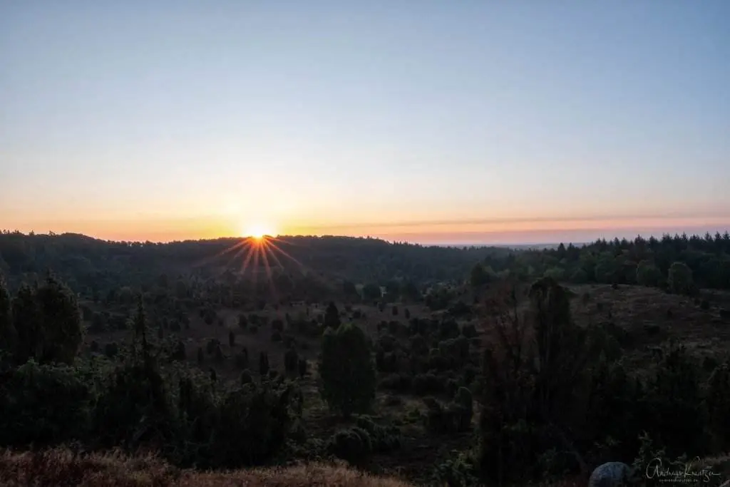 Sonnenaufgang am Totengrund in der Lüneburger Heide