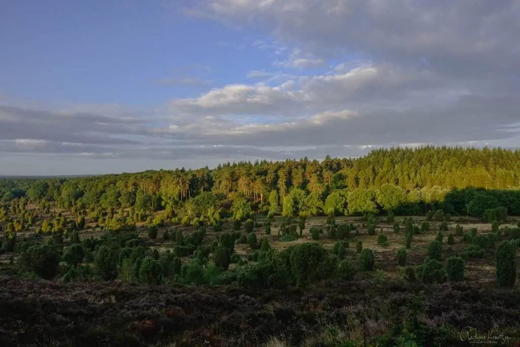 Steingrund in der Lüneburger Heide