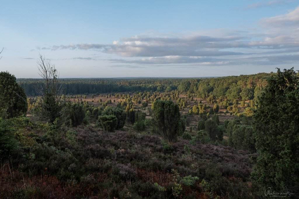 Steingrund in der Lüneburger Heide