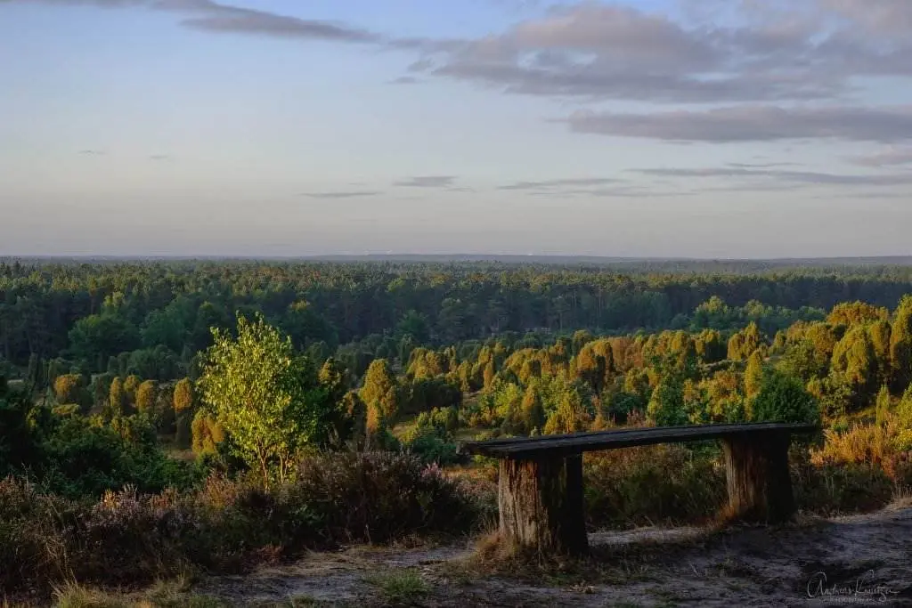 Steingrund in der Lüneburger Heide