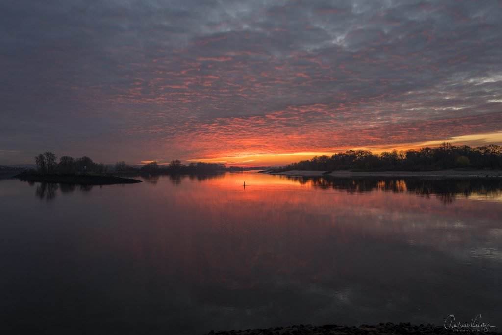 Sonnenaufgang an der Elbe