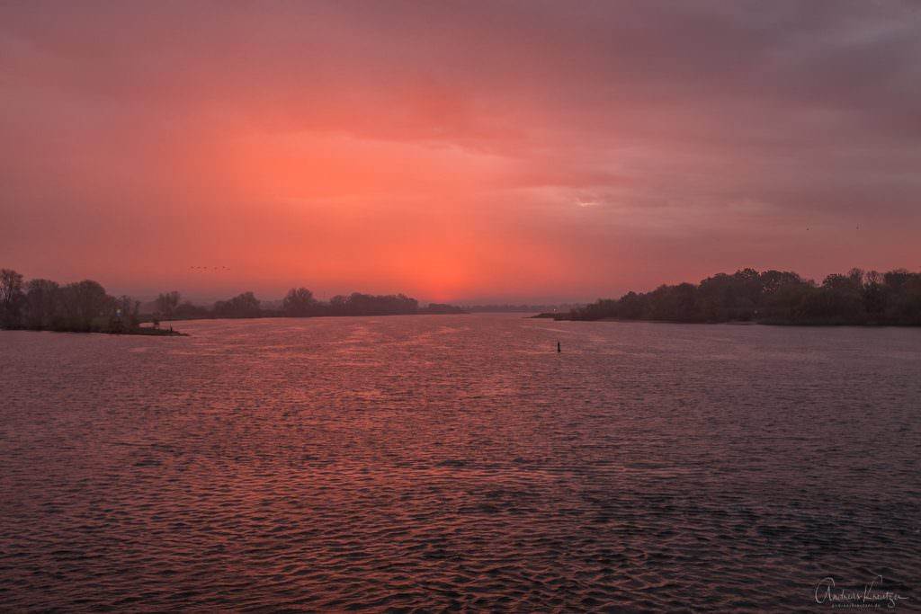 Sonnenaufgang an der Elbe