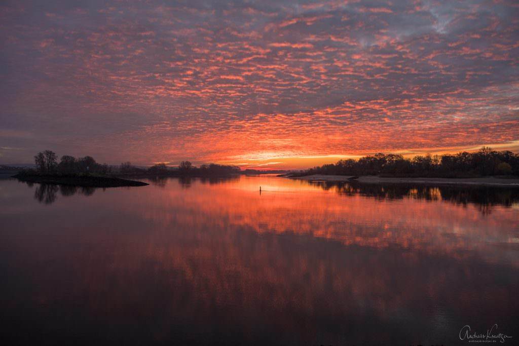 Sonnenaufgang an der Elbe