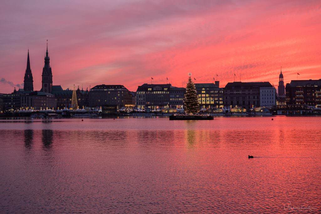 Hamburger Binnenalster mit Alstertanne