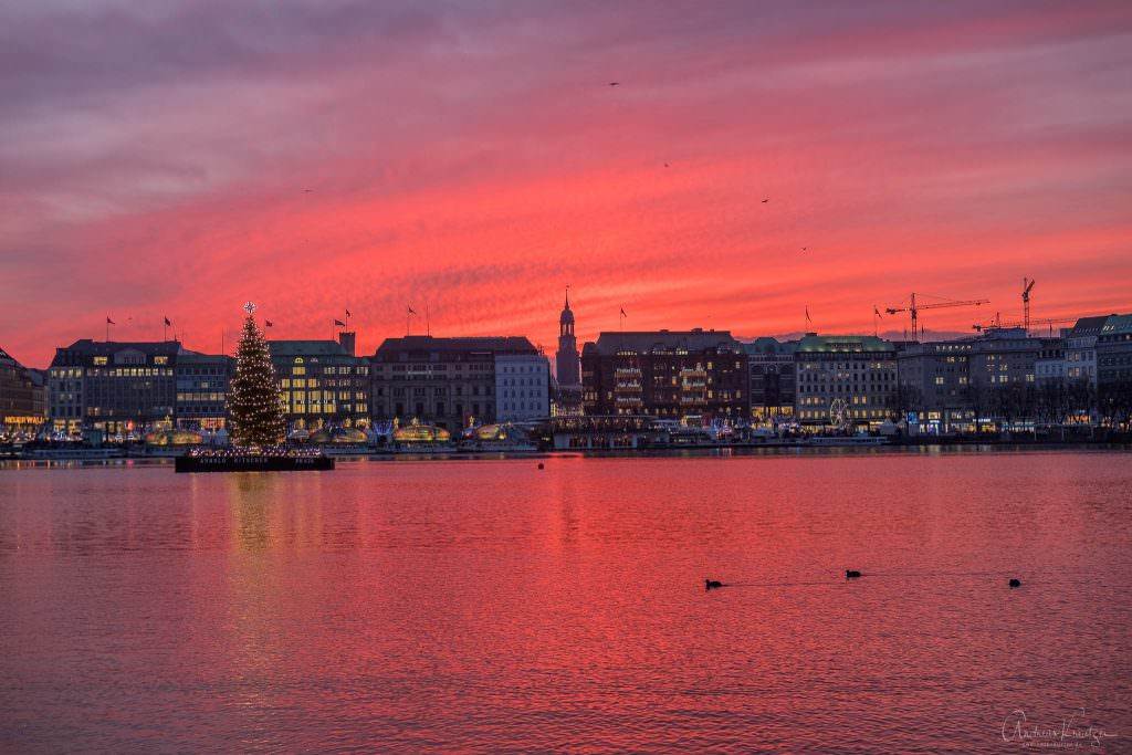 Hamburger Binnenalster mit Alstertanne