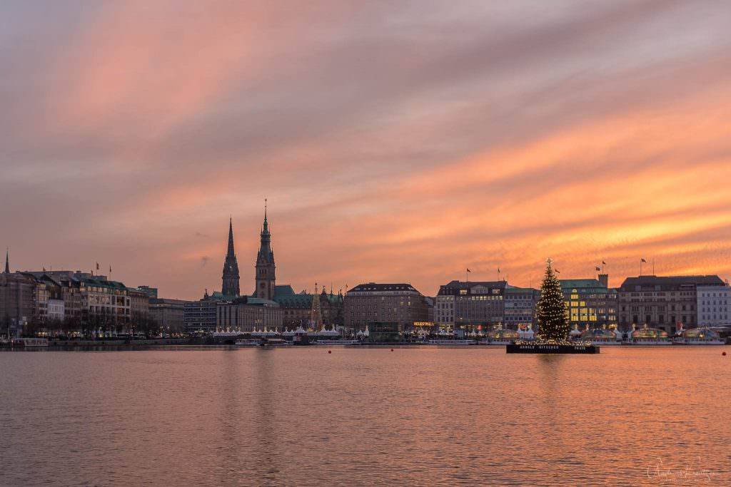 Binnenalster mit Alstertanne