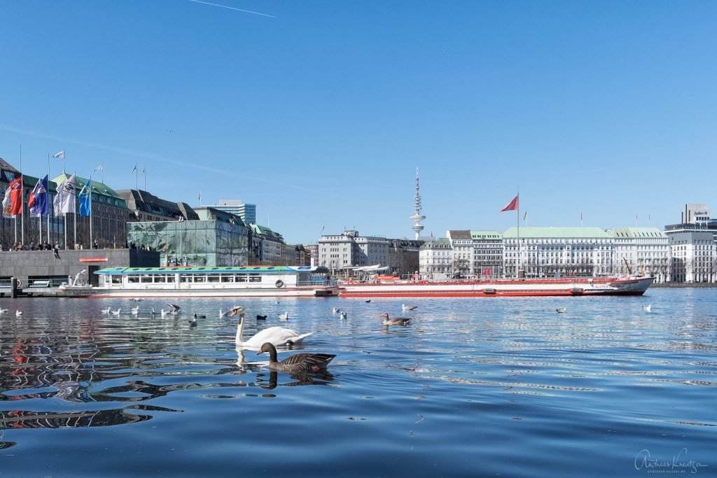 Hamburger Binnenalster im Frühling