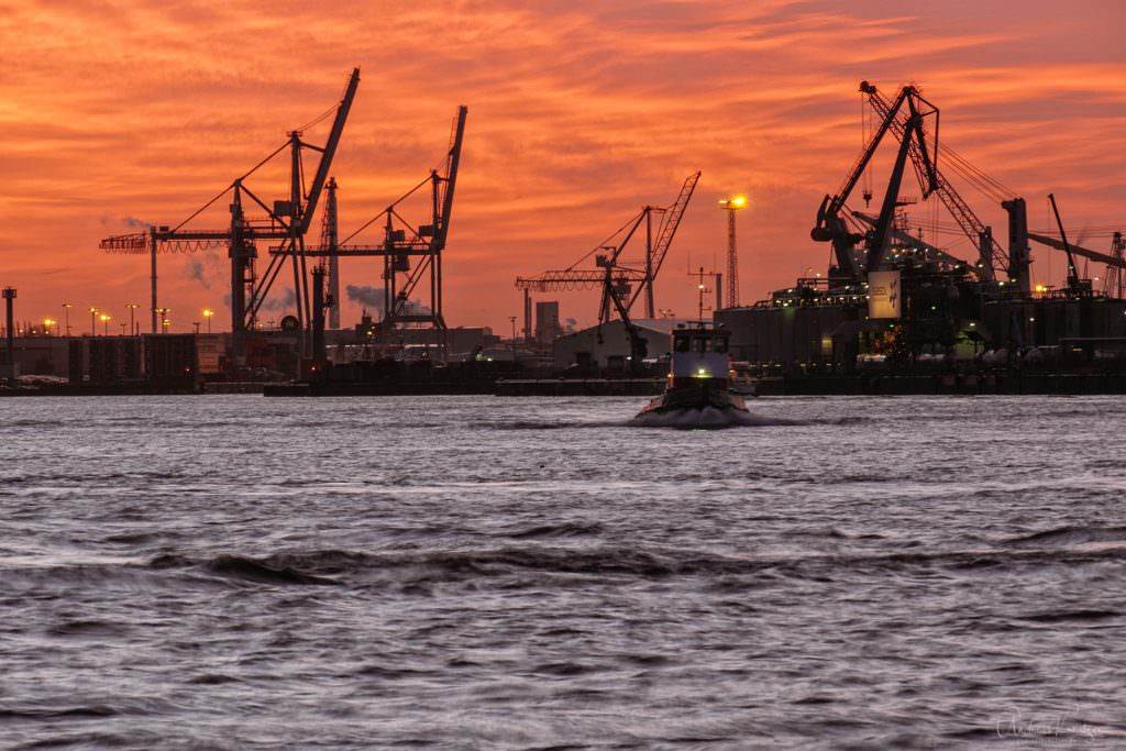 Morgens am Hafen IV 011215