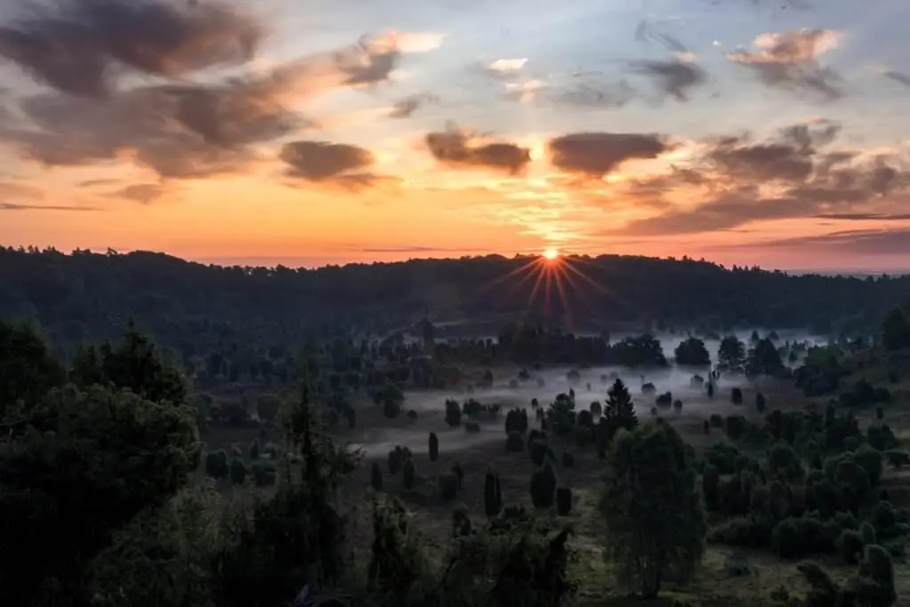 Totengrund in der Lüneburger Heide beim Sonnenaufgang