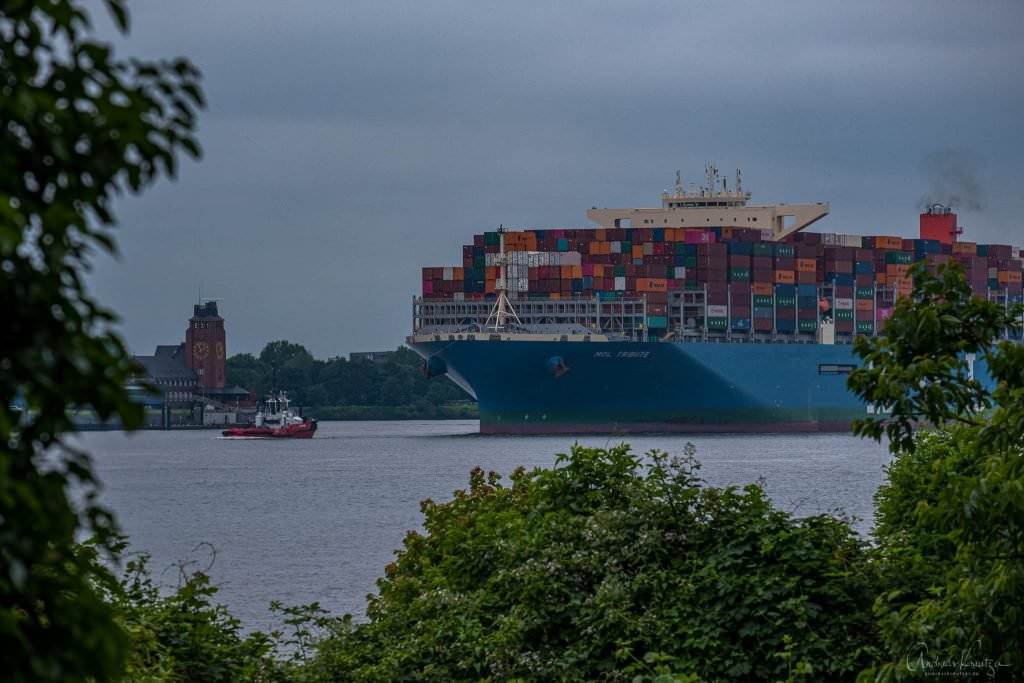 Containerschiff Mol Tribute