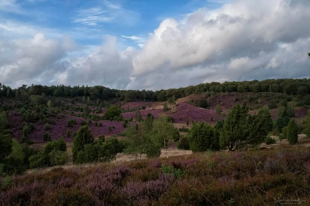 Lüneburger Heide Totengrund