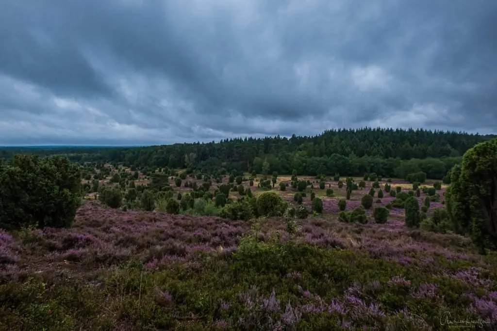 Steingrund in der Lüneburger Heide