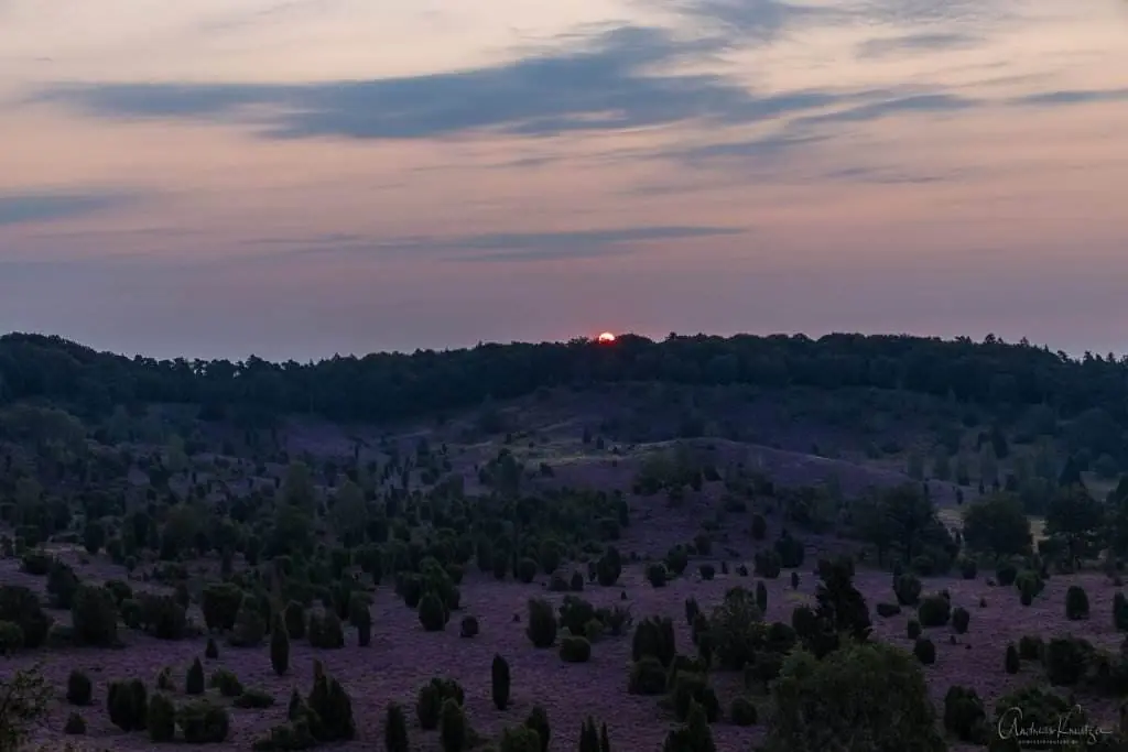 Sonnenaufgang am Totengrund in der Lüneburger Heide