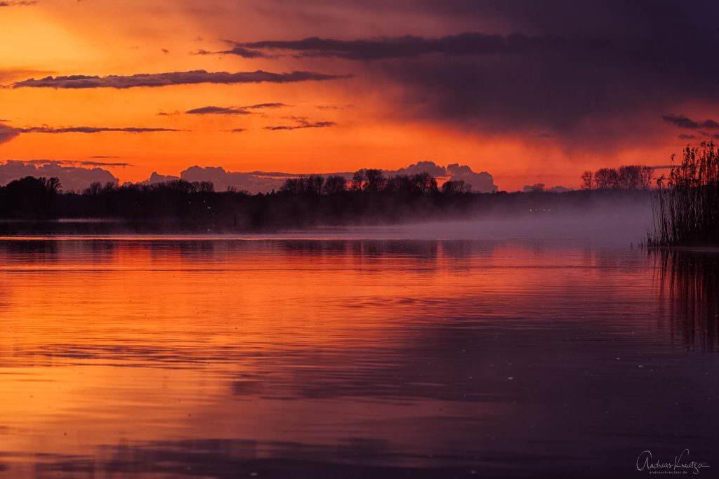 Nebel auf der Elbe I