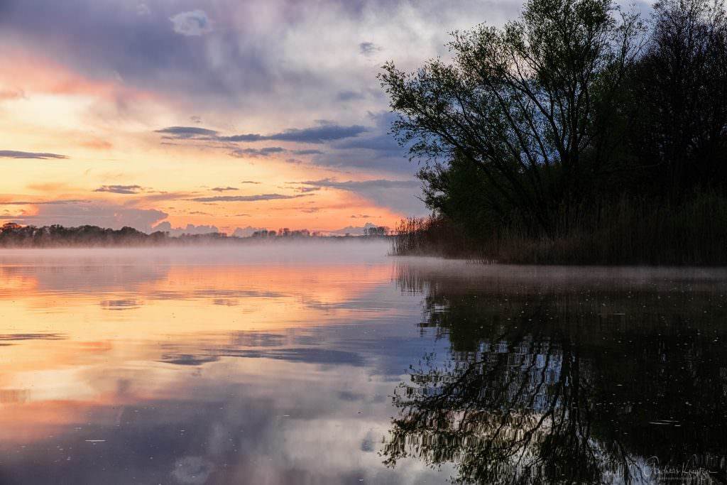 Nebel auf der Elbe III