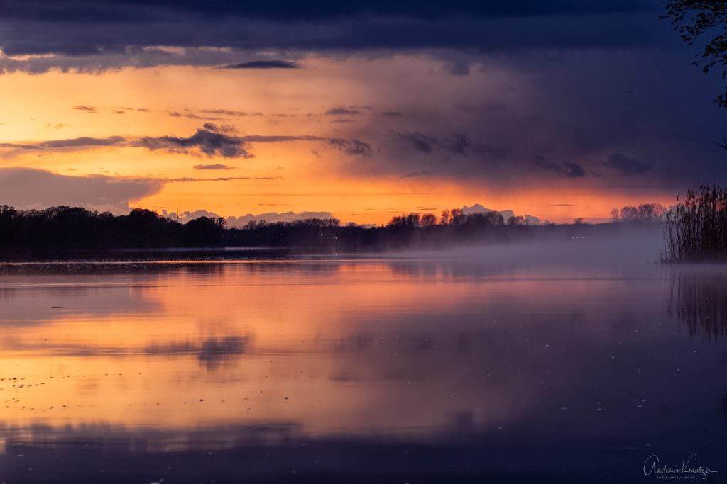 Nebel auf der Elbe III