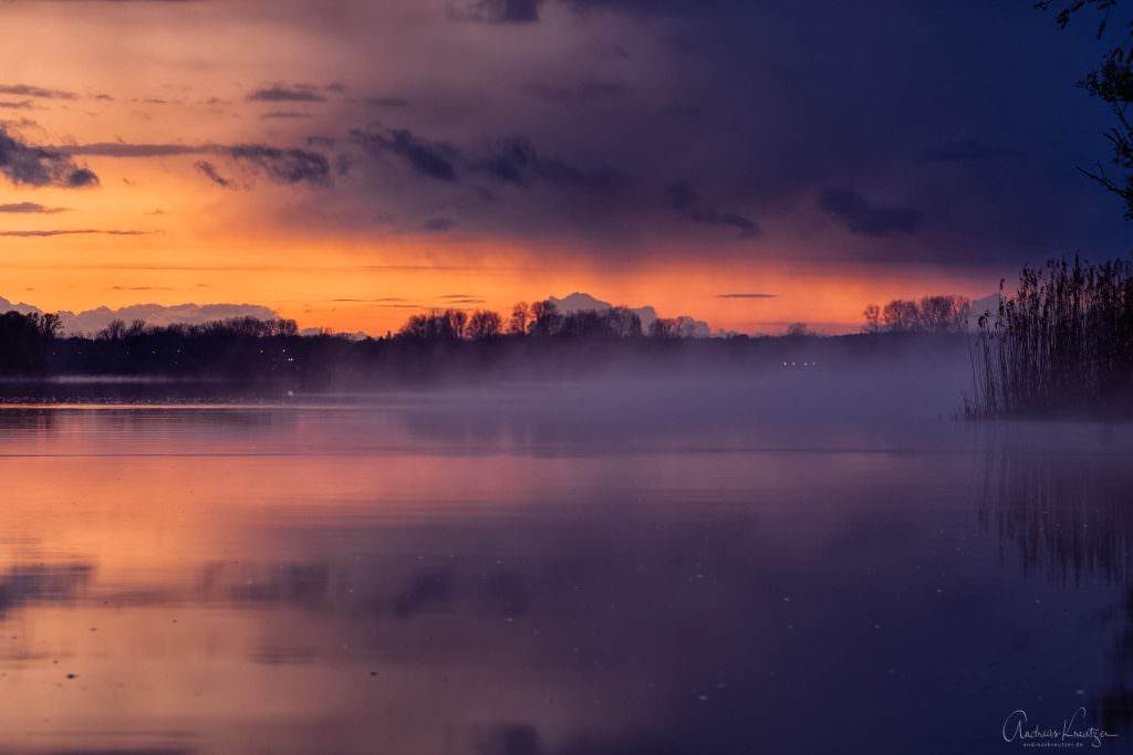 Nebel auf der Elbe IV