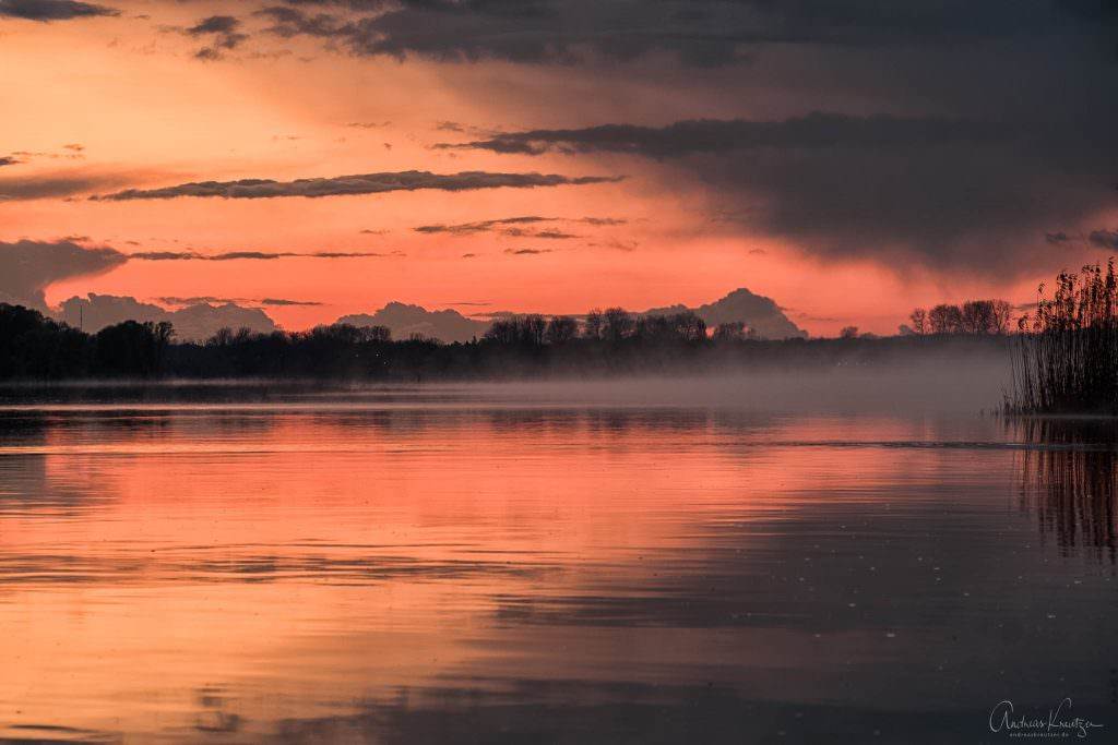 Nebel auf der Elbe V