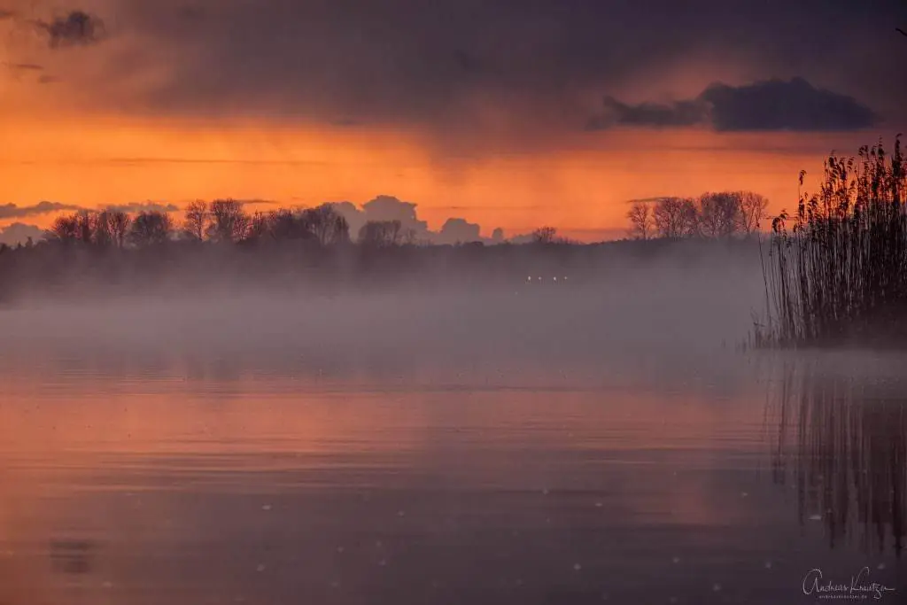 Nebel auf der Elbe VI
