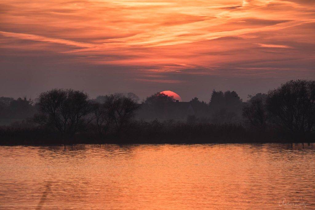 Sonnenuntergang an der Elbe III