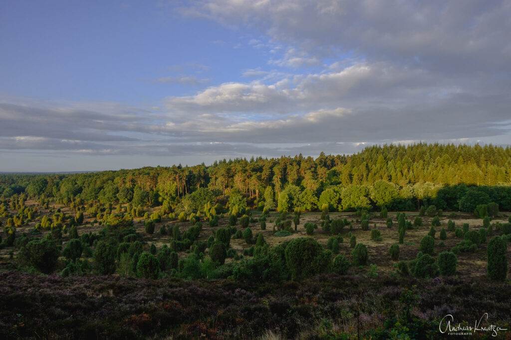Steingrund in der Lüneburger Heide