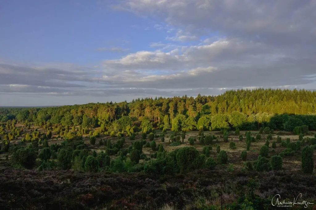 Steingrund in der Lüneburger Heide