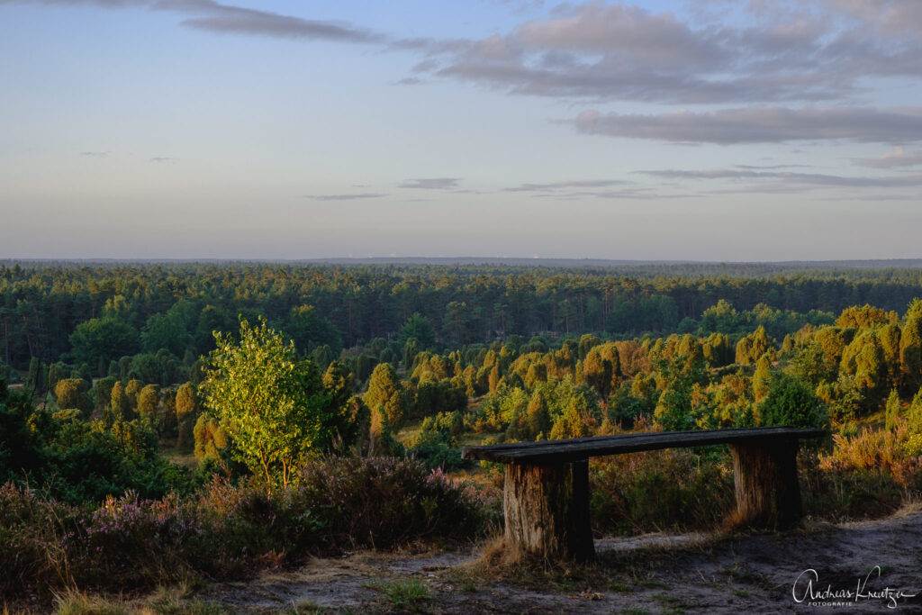 Steingrund in der Lüneburger Heide