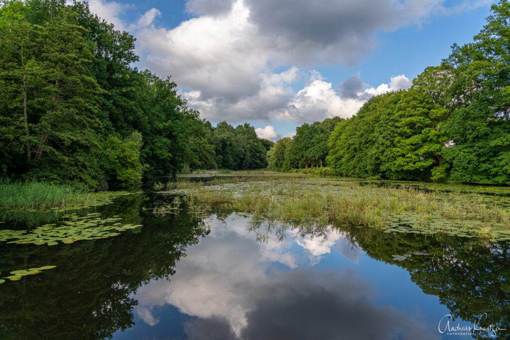 Mühlenteich Aumühle