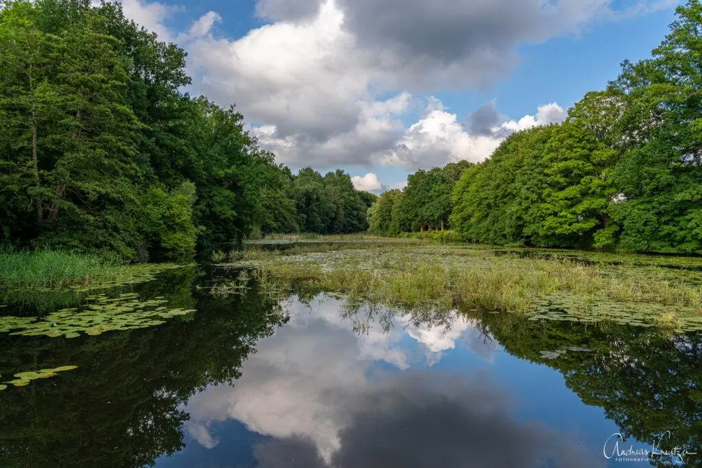 Mühlenteich Aumühle