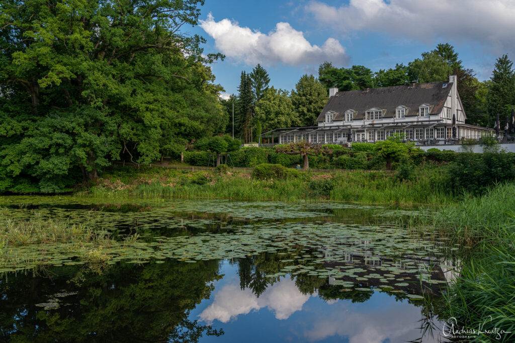 Mühlenteich Aumühle