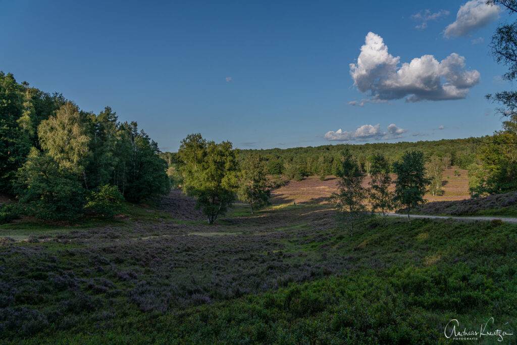 Fischbeker Heide