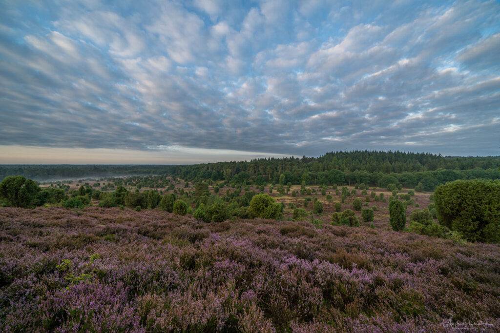 Steingrund in Lüneburger Heide