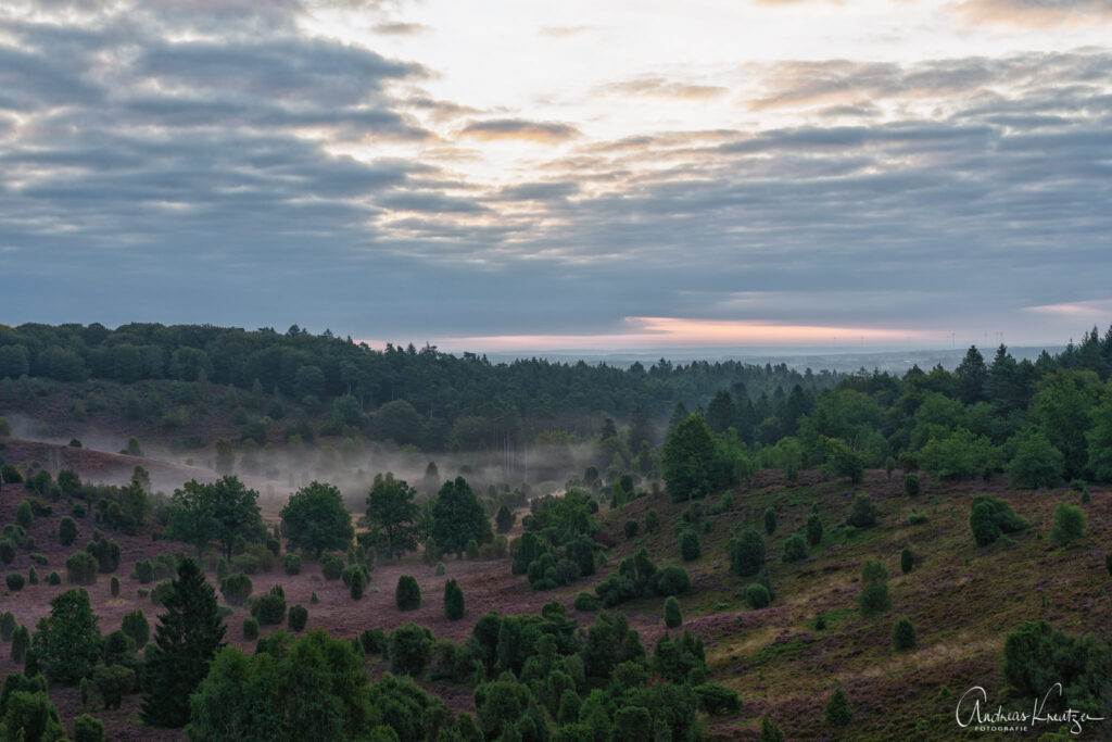 Totengrund in der Lüneburger Heide