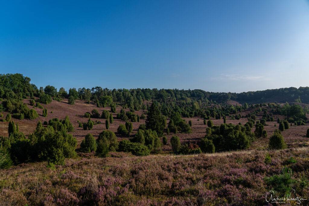 Totengrund in der Lüneburger Heide