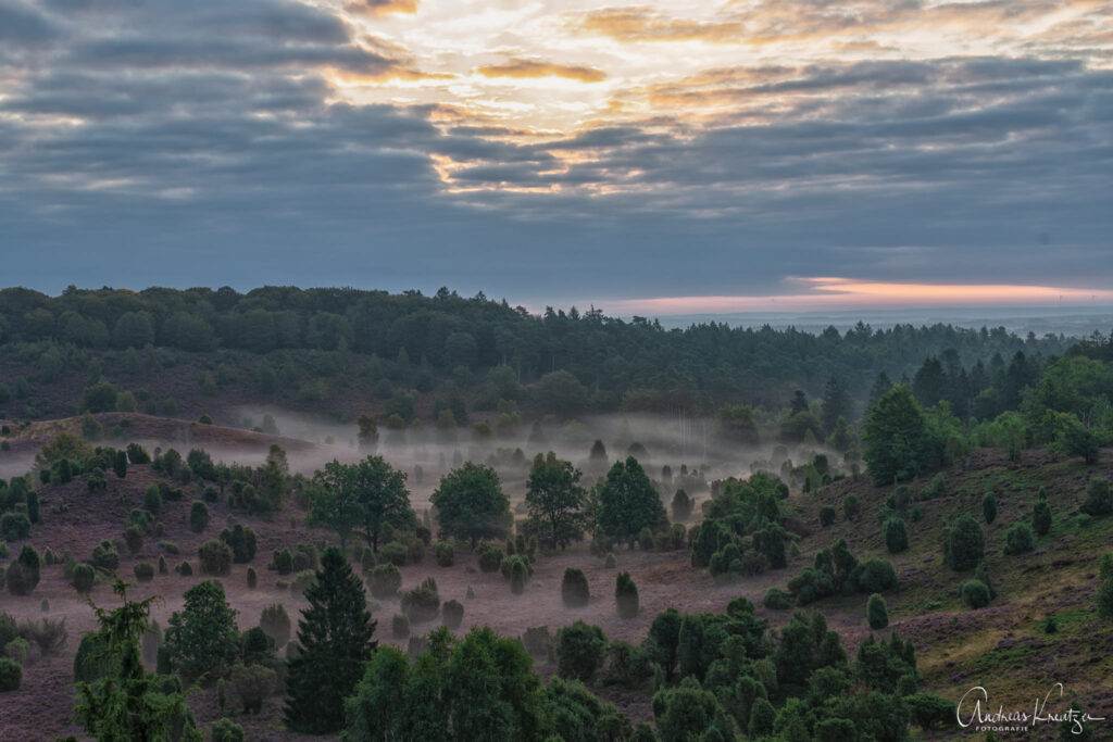 Totengrund in der Lüneburger Heide